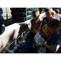 Zöld beton a belvárosban