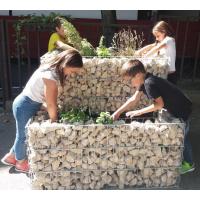 Zöld beton a belvárosban